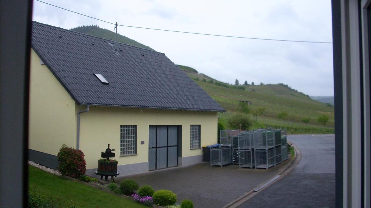 Brunnenhof Hotel Bruttig-Fankel Buitenkant foto